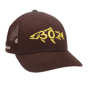 RepYourWater Wyoming 307 2.0 Mesh Back Hat in Brown and Brown